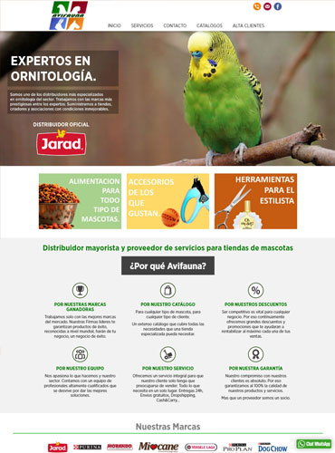 Profesionales del Web - Ejemplo